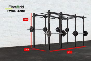 Рама CROSSFIT с элементами рукохода FWRL-4200 ― ФИТНЕСЦЕНТР.ru