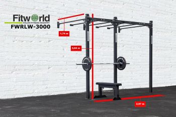 Рама CROSSFIT с креплением к стене FWRWL-3000 ― ФИТНЕСЦЕНТР.ru