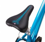 Велосипед SCHWINN ELLA GIRL 24 (2018)