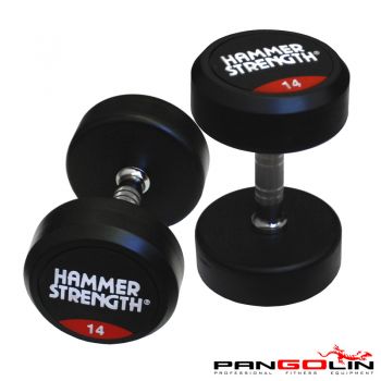 Профессиональные тренировочные гантели  HAMMER STRENGTH DB145A (22 - 30 кг) ― ФИТНЕСЦЕНТР.ru