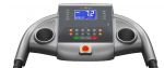 Беговая дорожка APPLEGATE T20 A