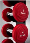 Набор стальных гантелей 1-10 кг (полиуретан) ZIVA ZVO-DBPU-1301S
