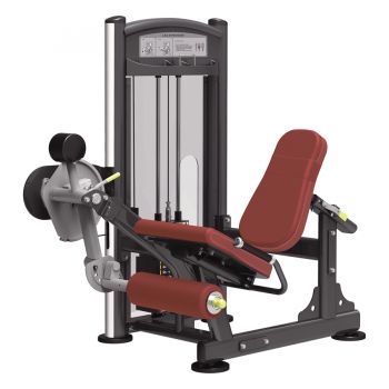 Разгибание ног AeroFIT IT9305 ― ФИТНЕСЦЕНТР.ru