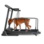 OXYGEN LAGUNA II ML DOGGIE EDITION Беговая дорожка