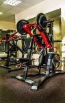 Нижняя гребная тяга с независимыми рычагами AeroFIT SL7004