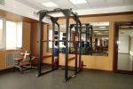 Усиленная силовая стойка AeroFIT SL7015
